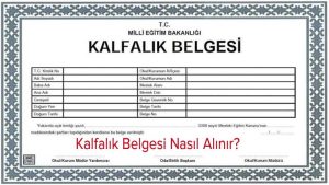 Kalfalık Belgesi Nasıl Alınır? Gerekli Belgeler